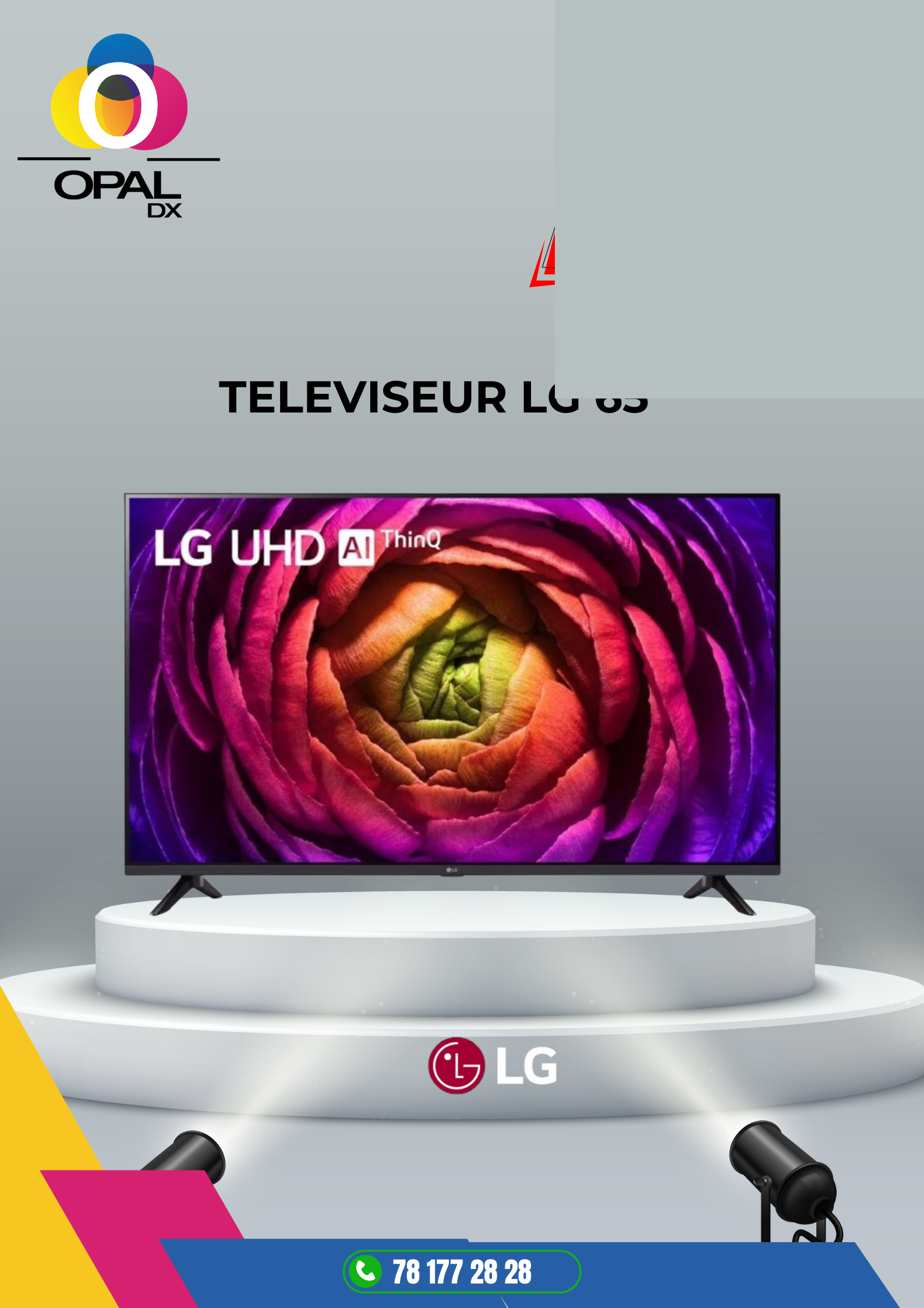 TÉLÉVISEUR LG 65"